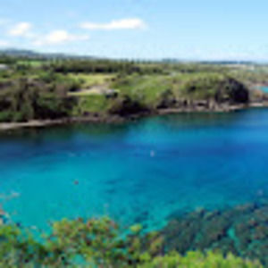 Meet your Posher, Todd